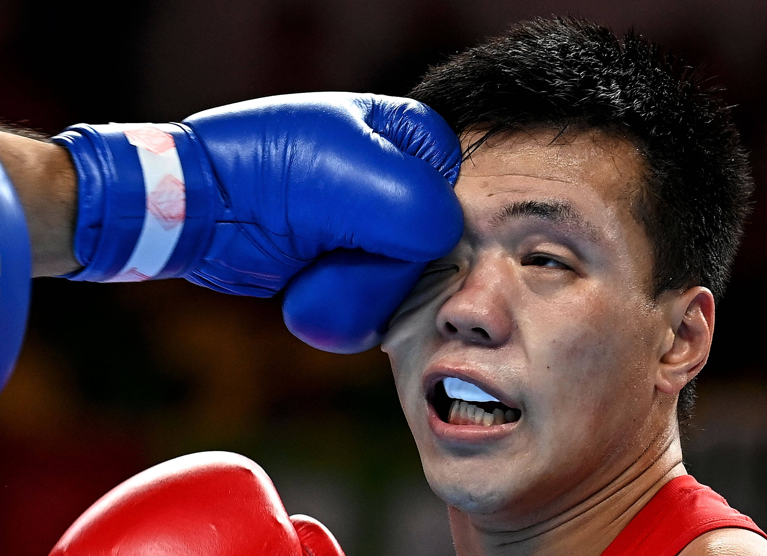 包含拳击赛事精彩瞬间盘点，年度回顾震撼登场的词条