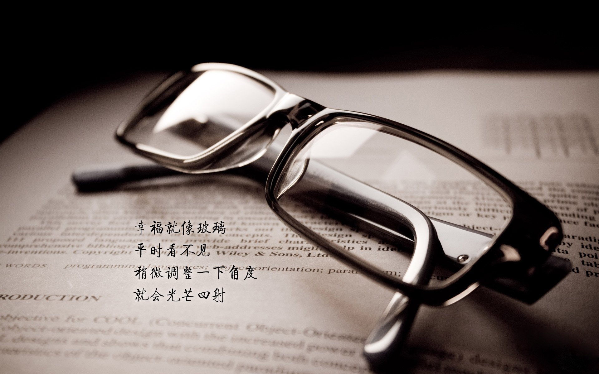 当达拉斯的星光照亮东北虎,独行侠的精密机器与西亚卡姆的燎原之火