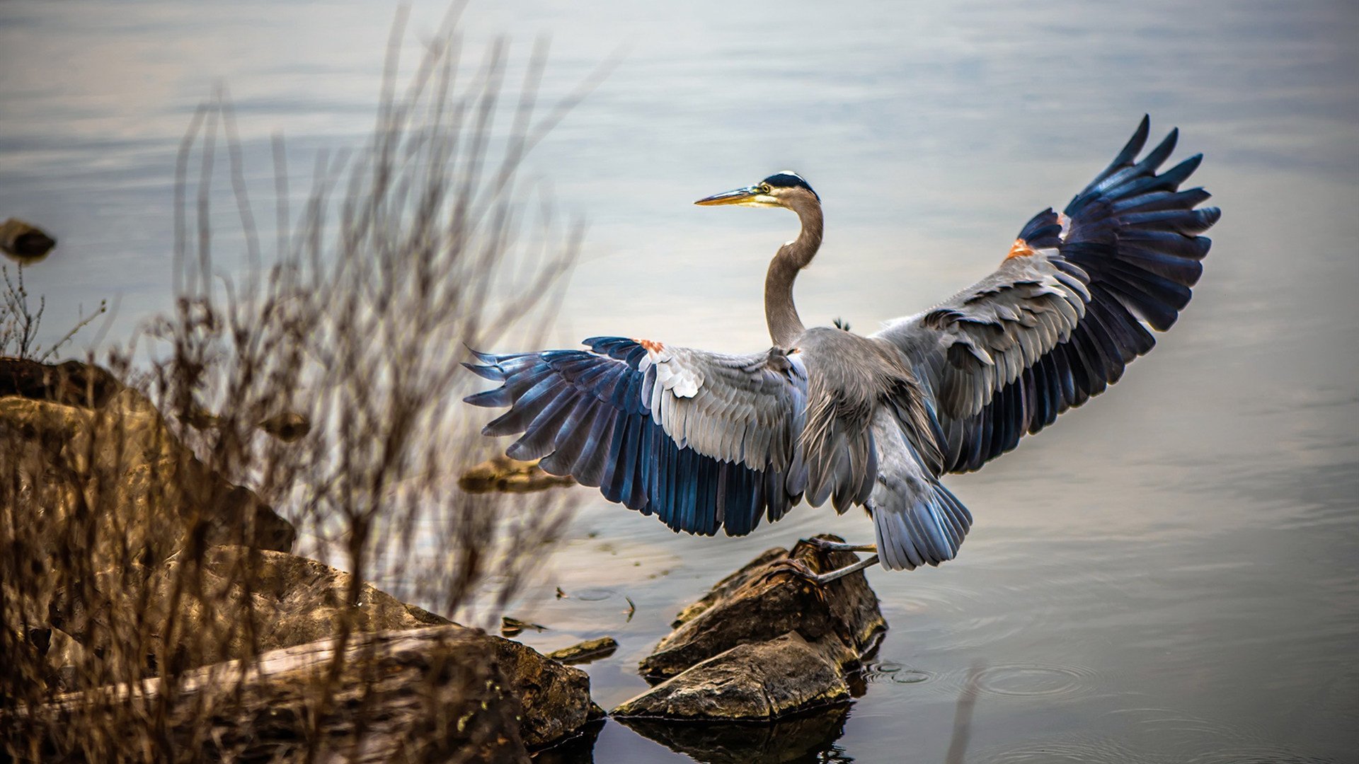赛场两端的东方与西方,当绿茵军团遇见孤胆剑客
