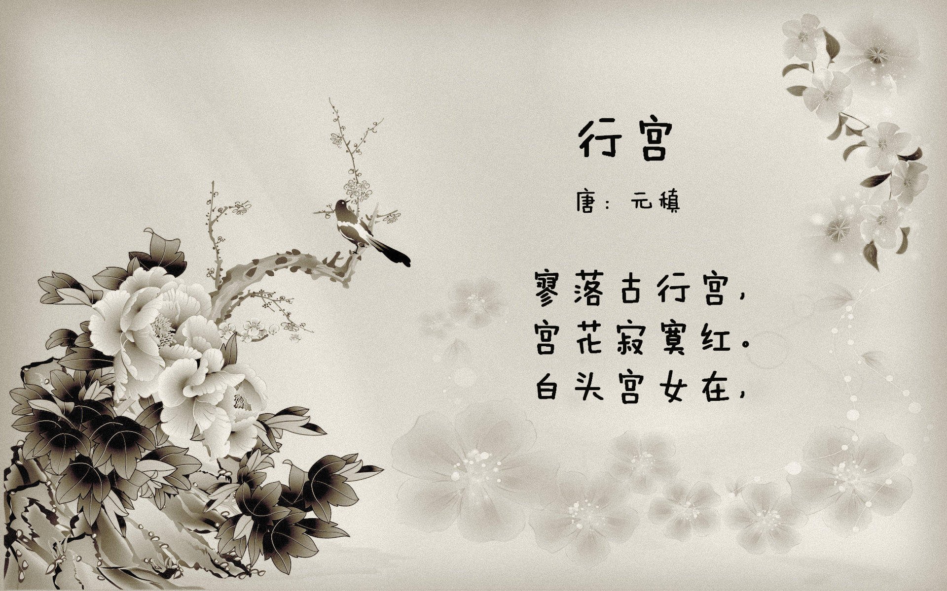 韩国铁骑踏碎波兰坚盾,张本极限叩问,个体光辉能否照亮团体迷途?