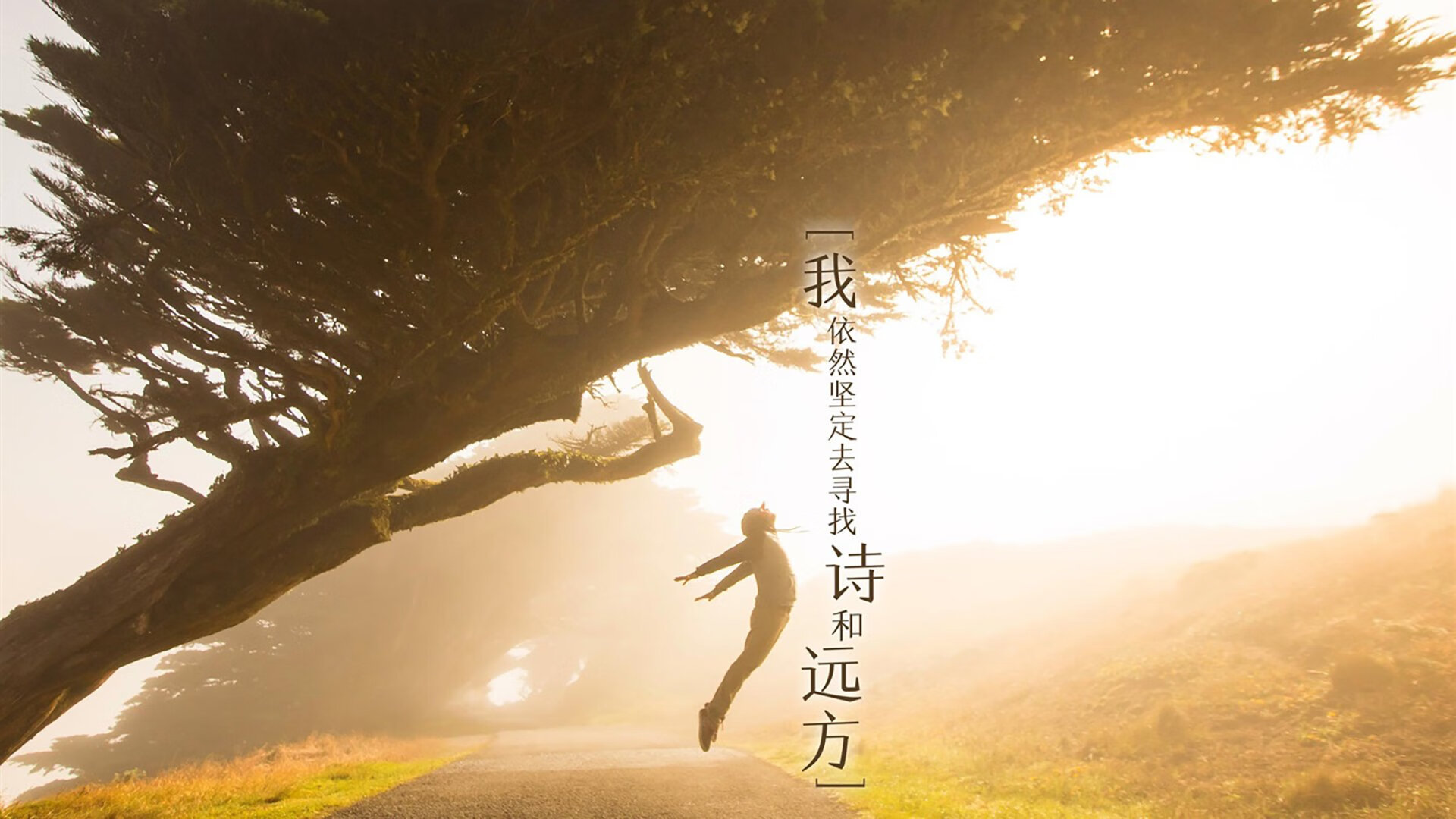 史上最温柔的屠杀，1991年总决赛公牛如何优雅地肢解湖人王朝