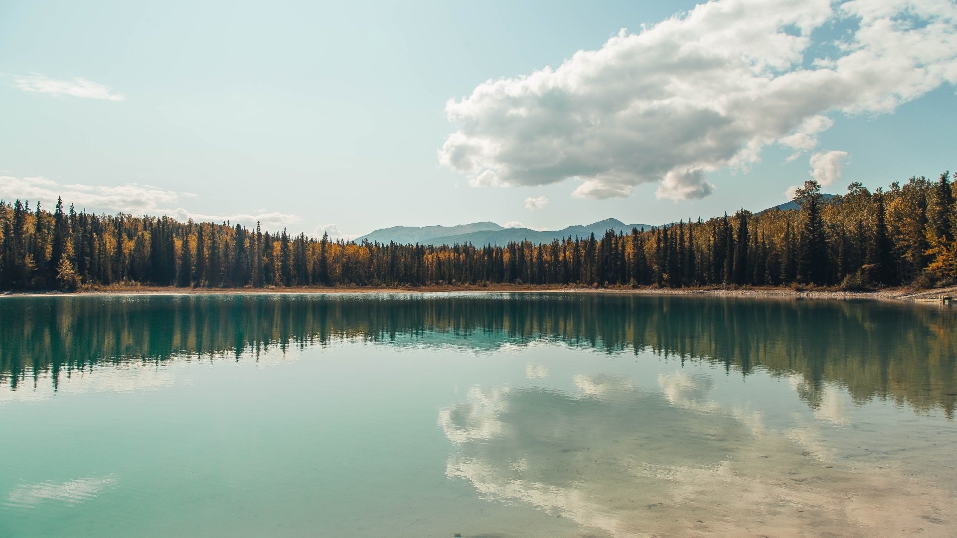 赛场之上，库里逆转乾坤，猛龙轻舟破浪—暗藏的冠军血脉
