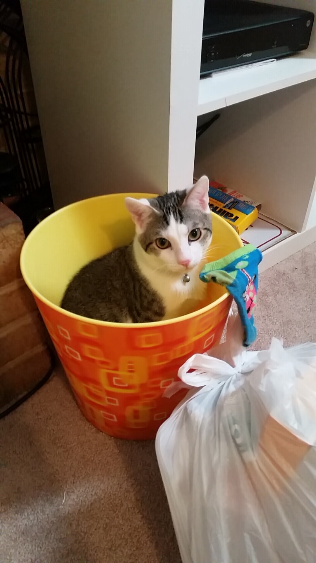 双城记,德甲争冠白热化与尼克斯收割胜利