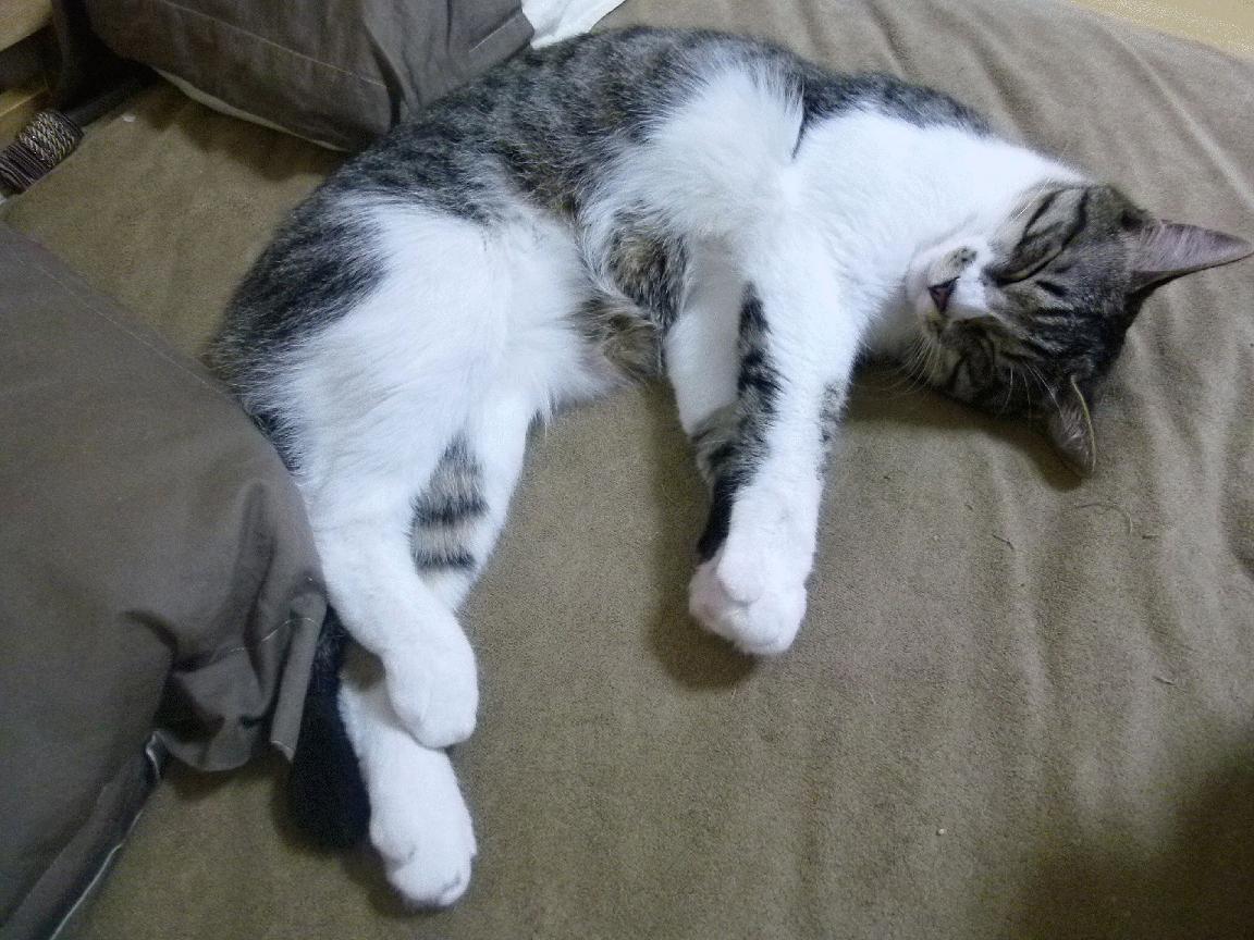 篮球赛场上的绞杀艺术，杜兰特持续杀伤，奇才淘汰山西队