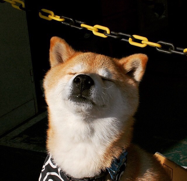 爱游戏大厅-当足球遇见篮球，美加墨世界杯的马刺式战术压制