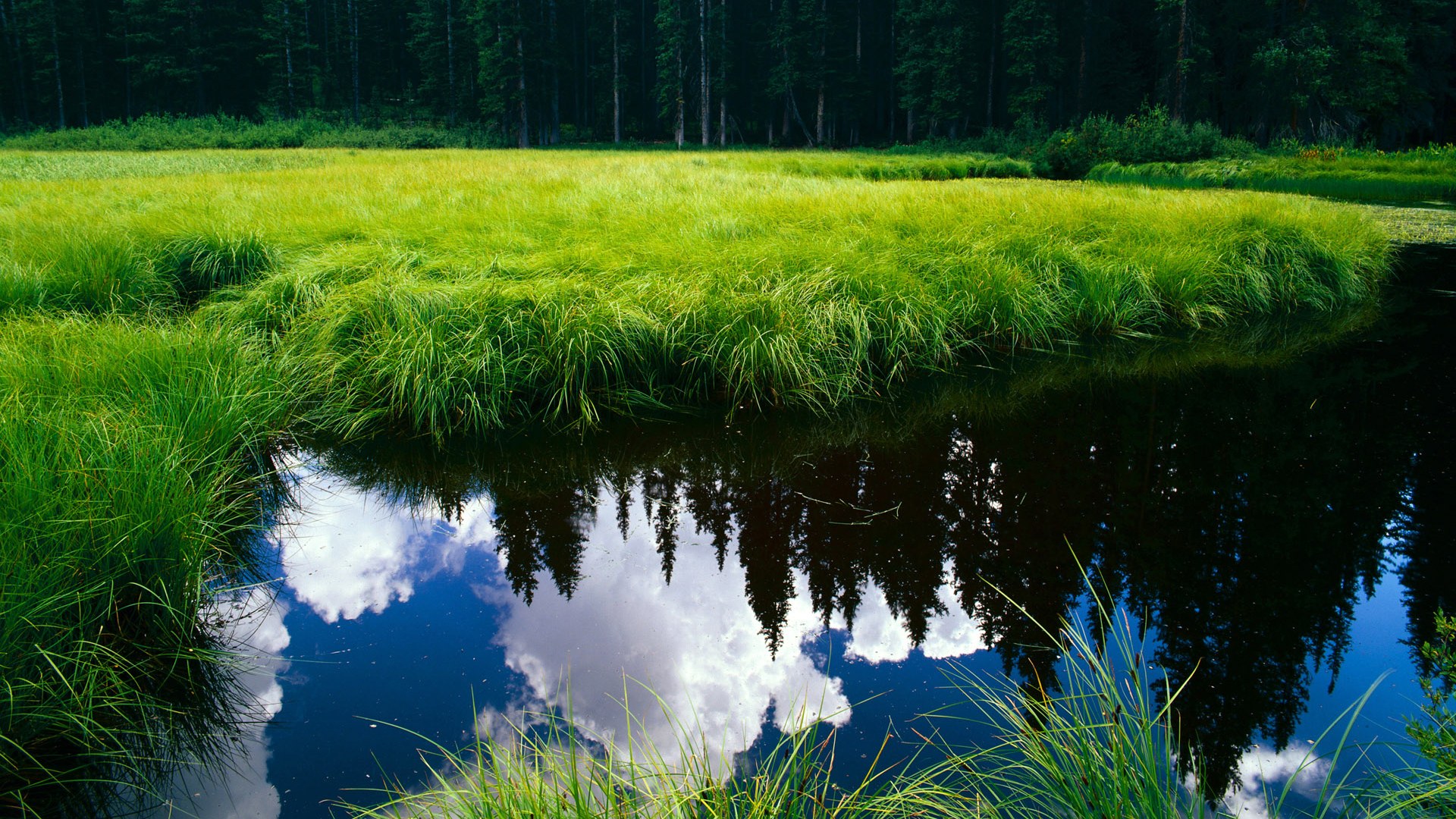 阿圭罗关键先生显威，毕尔巴鄂硬仗取胜威尔士