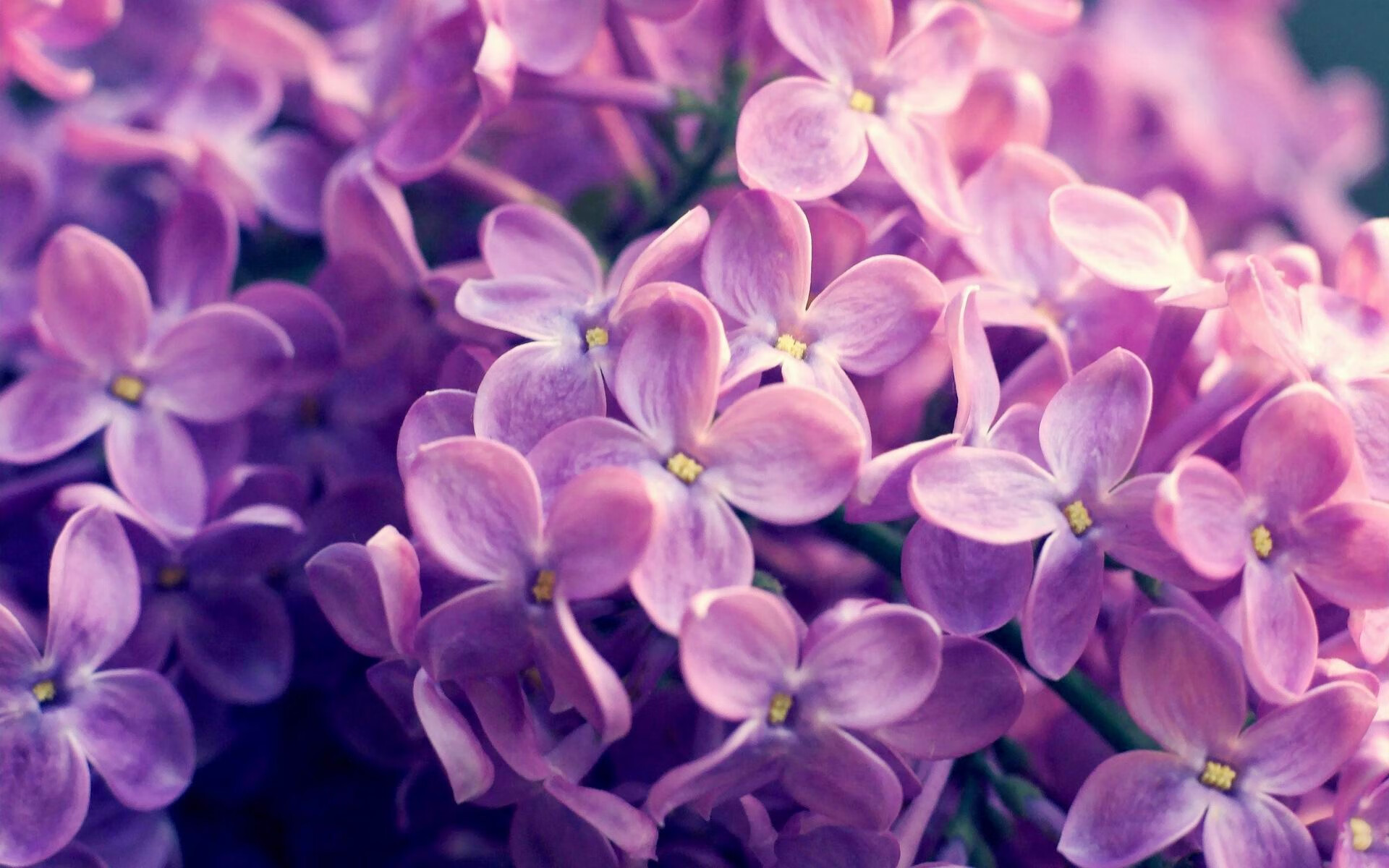 英超争冠焦点战前夕，凯尔特人友谊赛逆转辽宁队引发全球足球圈热议