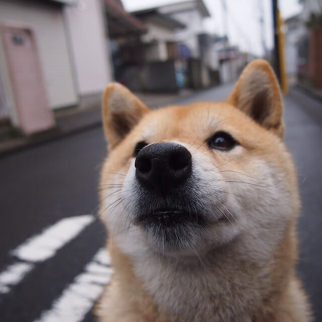 当勒布朗跨越时空连线金州，一场虚构的终极审判