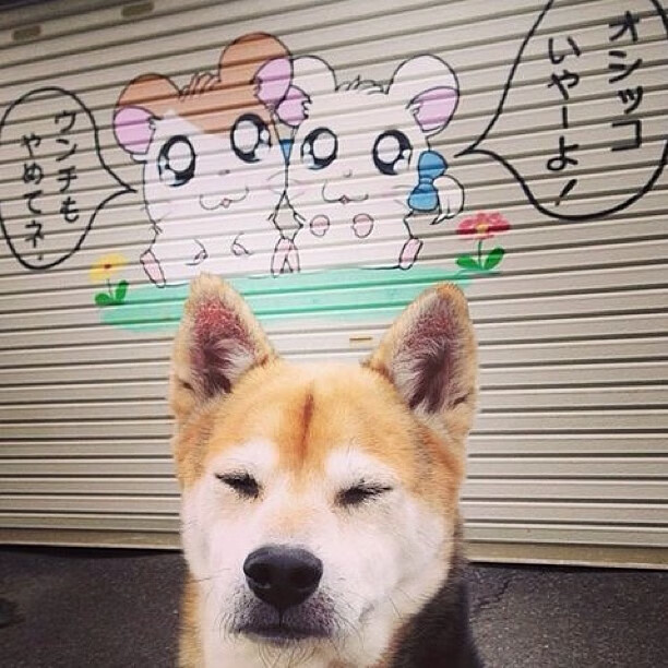 剑出鞘改写剧本，雷霆决胜局带走雄鹿，小贾伦化身冰与火关键先生